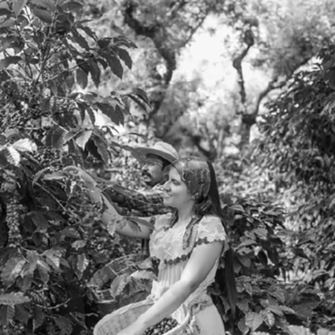 Costa Rica Los Santos