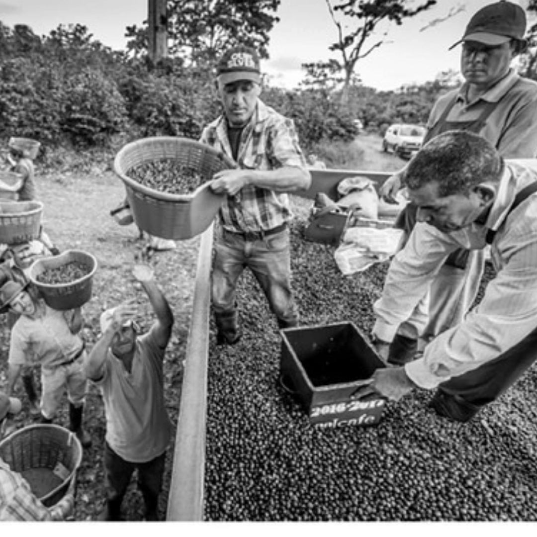 Costa Rica Los Santos