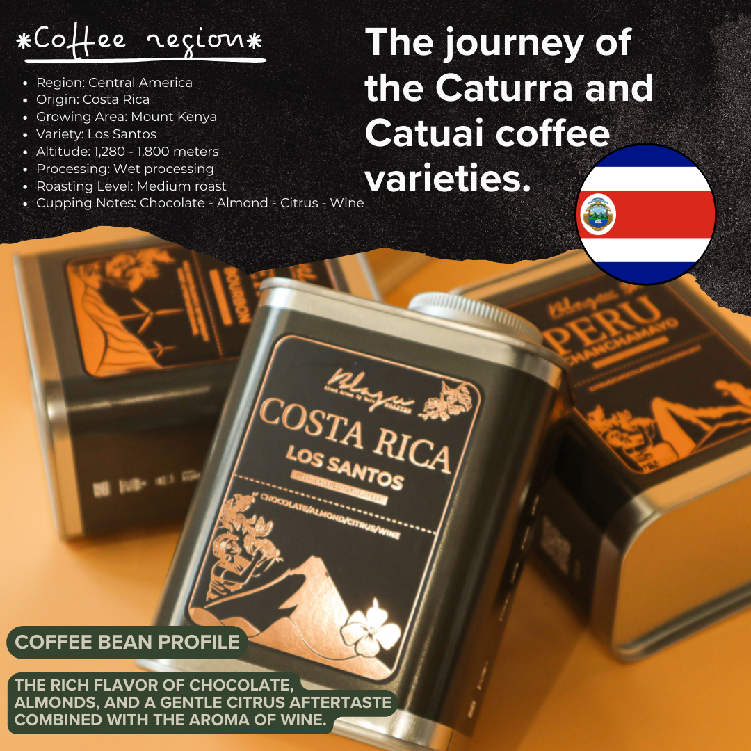 BLAGU Roasted Bean Costa Rica Los Santos