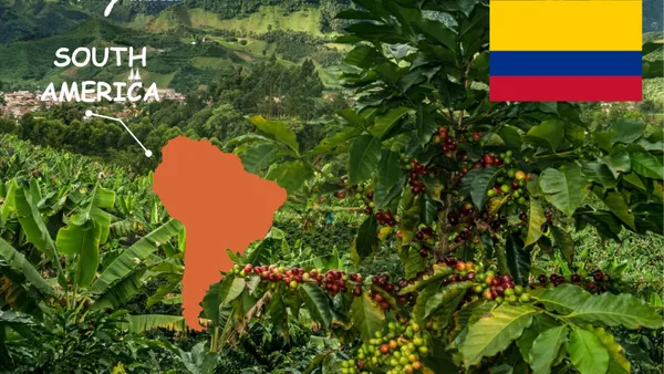 Colombia — Trái Tim Của Sự Cân Bằng