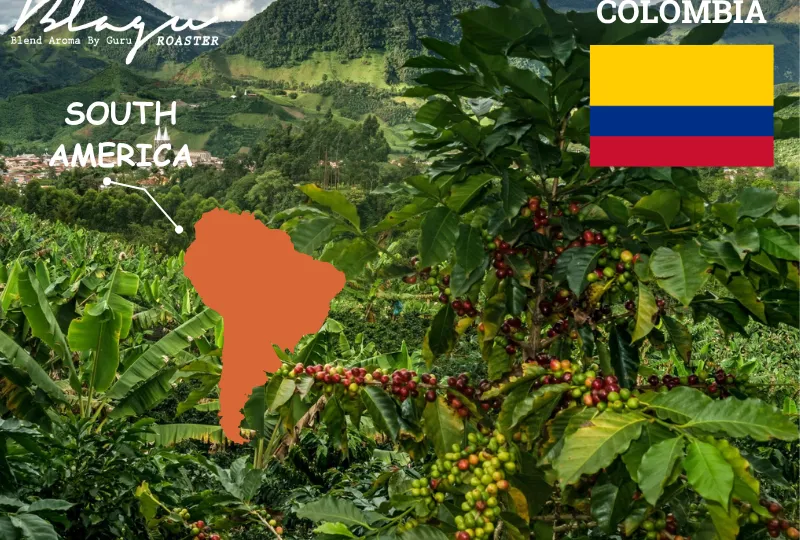 Colombia — Trái Tim Của Sự Cân Bằng