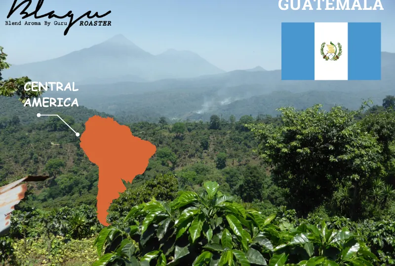 Guatemala — Nguồn Gốc Cà Phê Guatemala