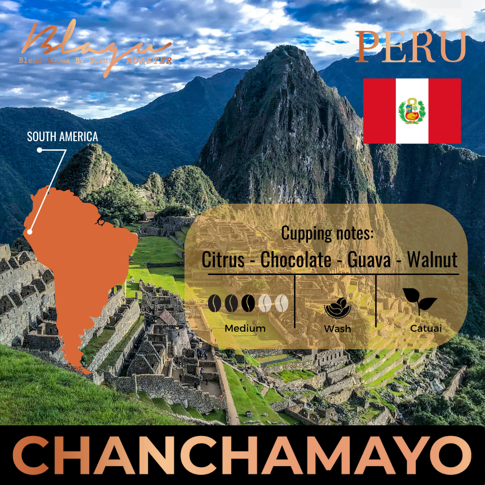 Cao cấp Hạt rang BLAGU Peru Chanchamayo