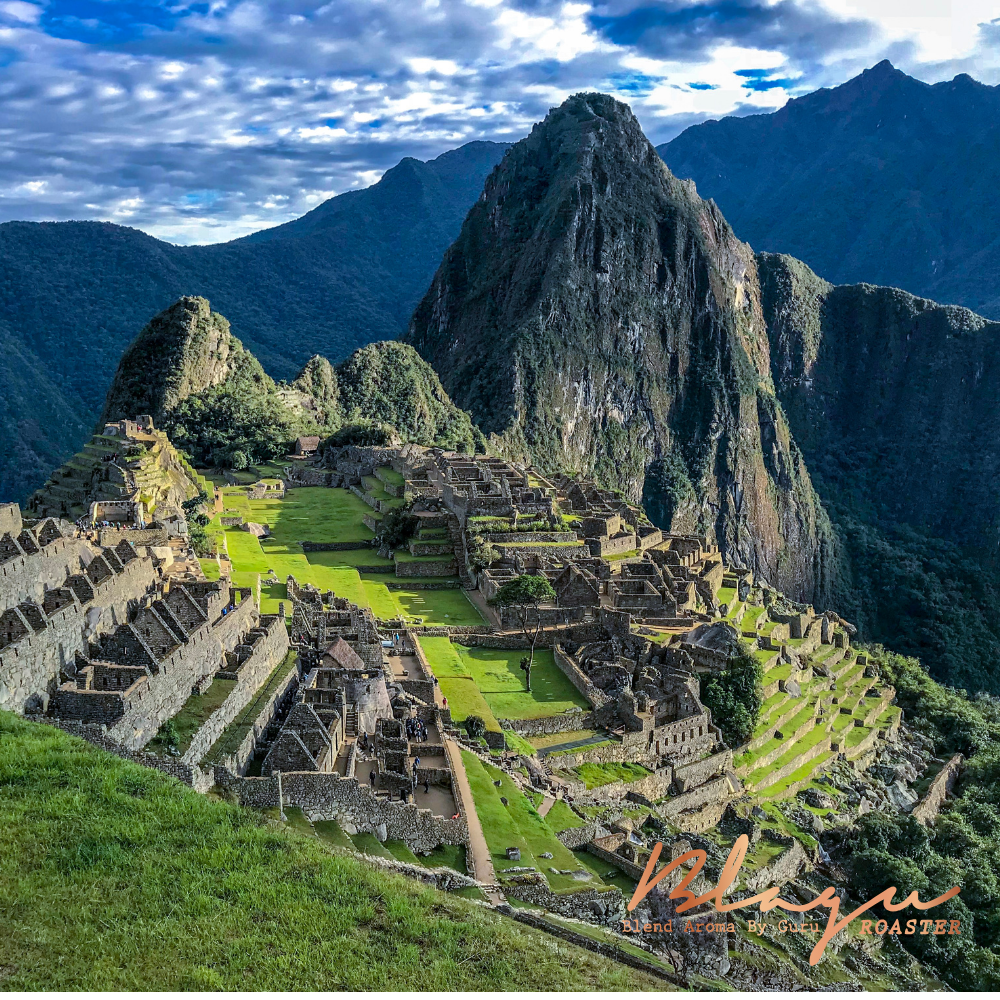 Premium BLAGU Hạt rang Peru Chanchamayo