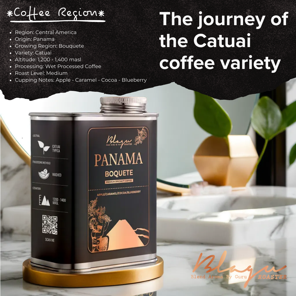 Premium BLAGU Roasted Bean Panama Boquete - 250g