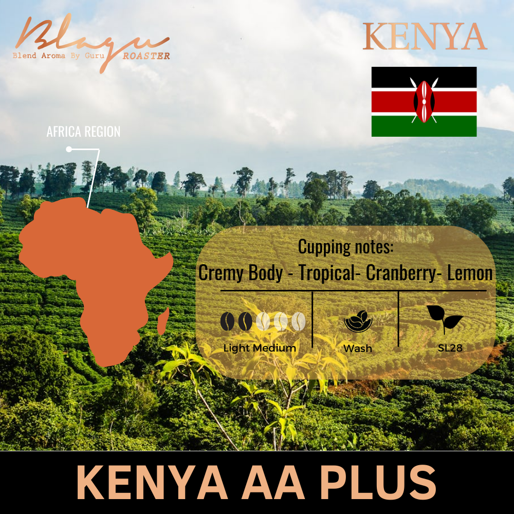 Cao Cấp Hạt Rang BLAGU Kenya AA Plus