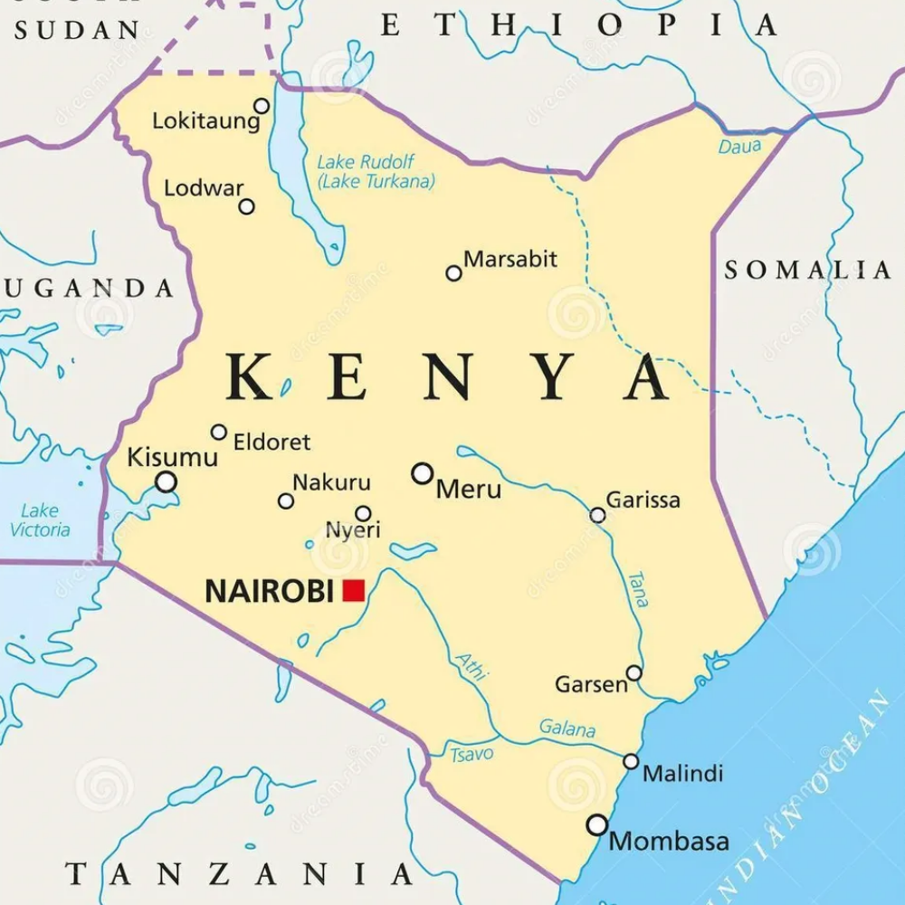 Hạt cà phê rang BLAGU Kenya AA Plus