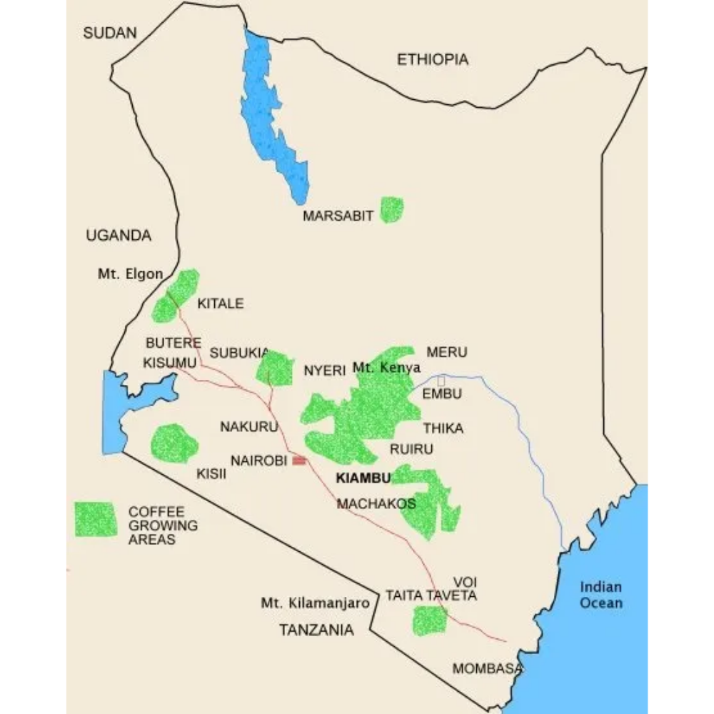 BLAGU Roasted Bean Kenya AA Plus