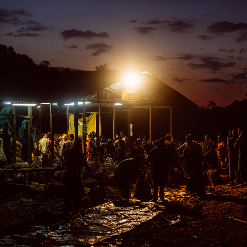 BLAGU Hạt Rang Ethiopia Yirgacheffe Konga