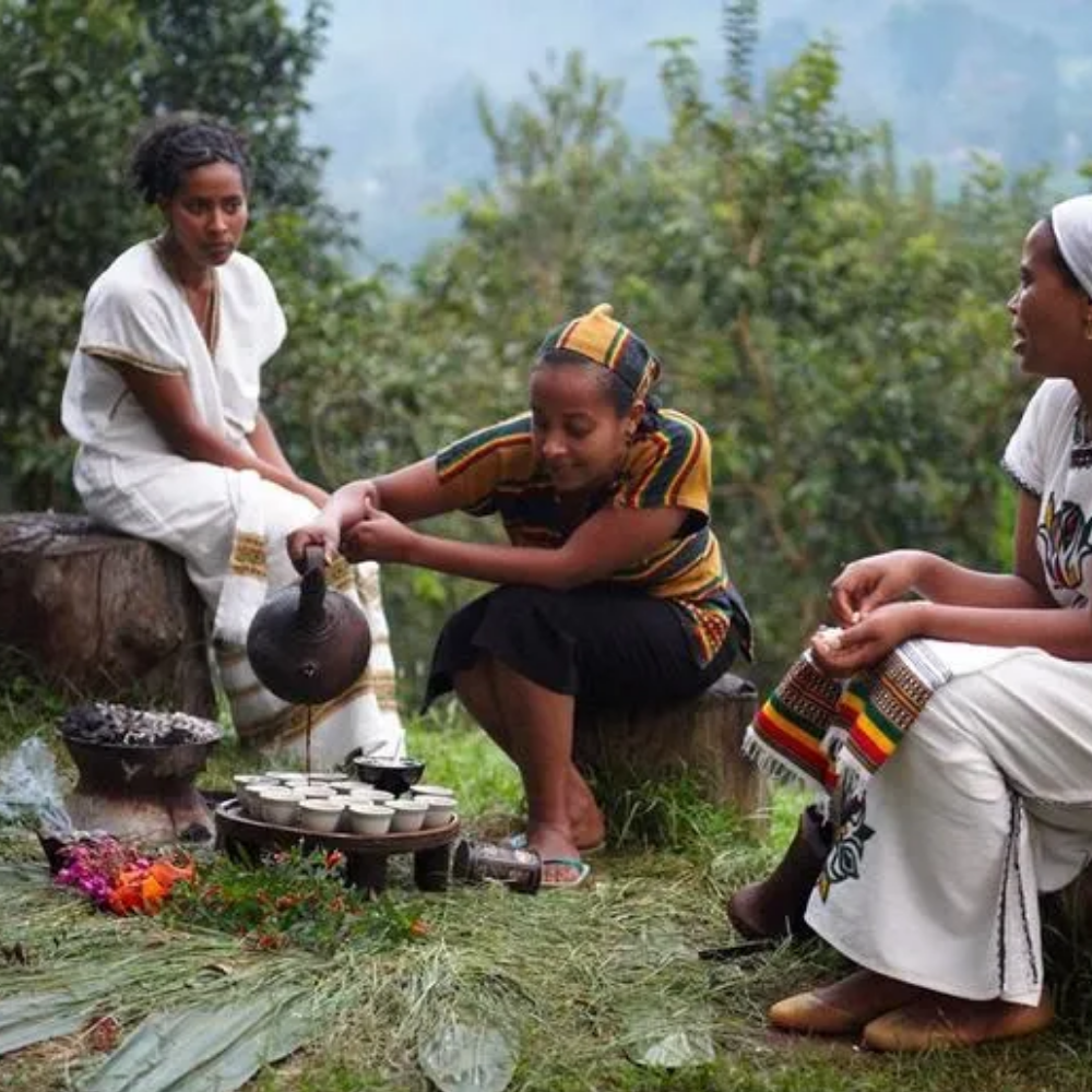 Premium BLAGU Roasted Bean Ethiopia Yirgacheffe Konga - 250g